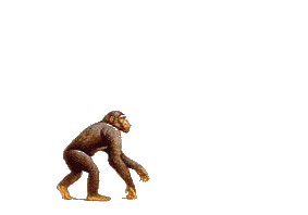 evolution de l homme